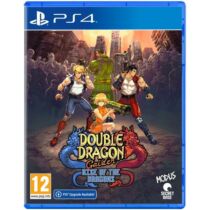 Double Dragon Gaiden Rise of the Dragons (PS4)